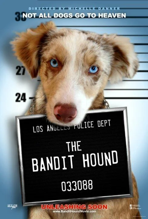 Постер к Пёс Бандит (2016)